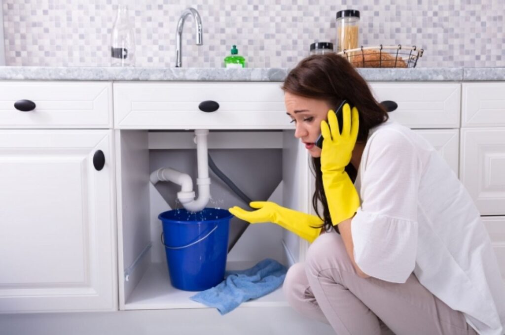 Plumbing Service in Sonoma County